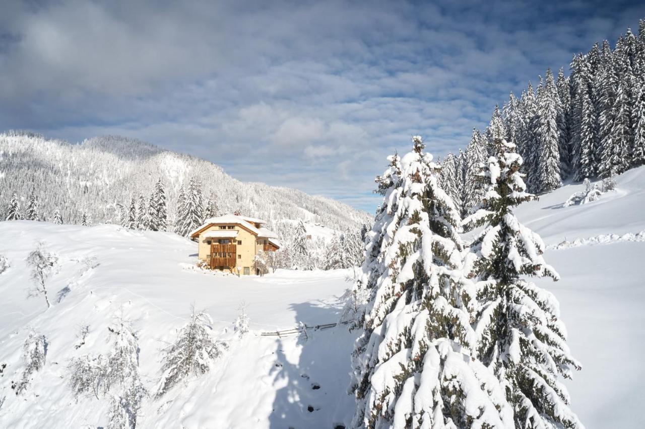 Sotciastel Antico Chalet Badia  Eksteriør billede